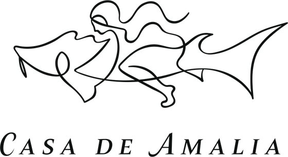 Casa de Amalia